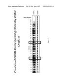 Biomarkers of Response to Inhibition of Poly-ADP Ribose Polymerase (PARP)     in Cancer diagram and image