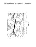 METHODS AND DEVICES FOR HIGH THROUGHPUT PURIFICATION diagram and image