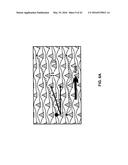 METHODS AND DEVICES FOR HIGH THROUGHPUT PURIFICATION diagram and image