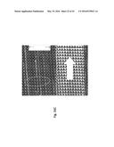 METHODS AND DEVICES FOR HIGH THROUGHPUT PURIFICATION diagram and image