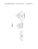 NANOMETER SIZE CHEMICAL MODIFIED MATERIALS AND USES diagram and image