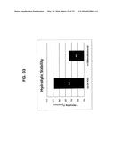 NANOMETER SIZE CHEMICAL MODIFIED MATERIALS AND USES diagram and image