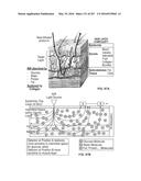 SYSTEMS AND METHODS FOR COLLISION COMPUTING FOR DETECTION AND NONINVASIVE     MEASUREMENT OF BLOOD GLUCOSE AND OTHER SUBSTANCES AND EVENTS diagram and image