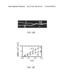 METHOD AND SYSTEM FOR IMAGING A MOLECULAR STRAND diagram and image