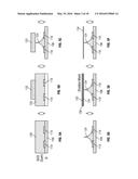 LARGE SCALE, LOW COST NANOSENSOR, NANO-NEEDLE, AND NANOPUMP ARRAYS diagram and image