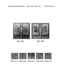 PAPER MICROFLUIDIC DEVICES FOR DETECTION OF IMPROVISED EXPLOSIVES diagram and image