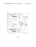 MECHANISM AND DRUG TARGETS FOR REDUCING CELL EDEMA (NEUROPROTECTION) AND     CYTOPLASMIC EXCITABILITY IN ASTROCYTES IN NORMAL AND PATHOLOGICAL STATES diagram and image