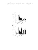 MECHANISM AND DRUG TARGETS FOR REDUCING CELL EDEMA (NEUROPROTECTION) AND     CYTOPLASMIC EXCITABILITY IN ASTROCYTES IN NORMAL AND PATHOLOGICAL STATES diagram and image