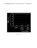 RAGE AS A C1Q RECEPTOR, METHODS AND APPLICATIONS diagram and image