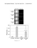 RAGE AS A C1Q RECEPTOR, METHODS AND APPLICATIONS diagram and image