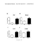 RAGE AS A C1Q RECEPTOR, METHODS AND APPLICATIONS diagram and image