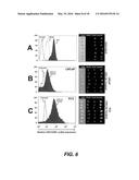 DETECTING CANCER WITH ANTI-CXCL16 AND ANTI-CXCR6 ANTIBODIES diagram and image