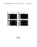 DETECTING CANCER WITH ANTI-CXCL16 AND ANTI-CXCR6 ANTIBODIES diagram and image