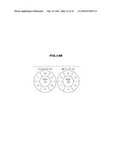 METHOD AND APPARATUS FOR MULTI-SLICE IMAGING OF T2-RELAXATION TIME diagram and image