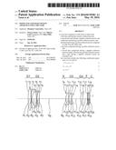 Zoom Lens and Image Pickup Apparatus Using the Same diagram and image