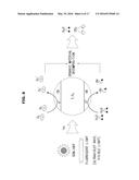 DISPLAY APPARATUS AND METHOD OF MANUFACTURING THE SAME diagram and image