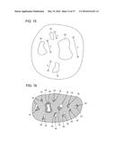 SOLAR CELL MODULE AND METHOD FOR PRODUCING SOLAR CELL MODULE diagram and image