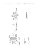 POTATO-SHAPED GRAPHITE PARTICLES WITH LOW IMPURITY RATE AT THE SURFACE,     METHOD FOR PREPARING THE SAME diagram and image