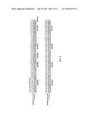 RADIO BASE STATION APPARATUS, MOBILE TERMINAL APPARATUS AND RADIO     COMMUNICATION SYSTEM diagram and image