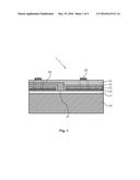 ELECTRONIC CONTROL OF OLEDS WITH DISTRIBUTED ELECTRODES diagram and image