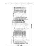 PLANT GROWTH-PROMOTING MICROORGANISMS AND METHODS OF USE THEREOF diagram and image