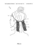 Apparatus, System, and Method for Enhancing a User s Hair diagram and image