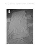 PORTABLE BEACH CHAIR COVER diagram and image