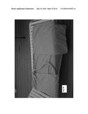 PORTABLE BEACH CHAIR COVER diagram and image