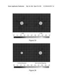 OPTICAL SCANNER AND SCANNED LENS OPTICAL PROBE diagram and image