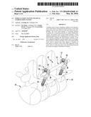 PEDICLE SCREW SYSTEM AND SPINAL STABILIZATION SYSTEM diagram and image