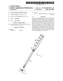 LAMINAR HOOK INSERTION DEVICE diagram and image