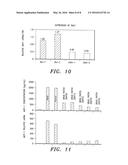 Mesh Fiber Members and Methods for Forming and Using Same for Treating     Damaged Biological Tissue diagram and image