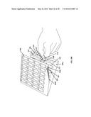 Medication Organizer Tray Apparatus diagram and image