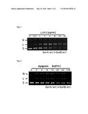 ANTIBACTERIAL AGENT diagram and image