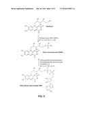 Composition for the Management of Nausea and Vomiting diagram and image