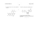 Composition for the Management of Nausea and Vomiting diagram and image