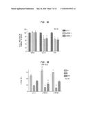 TREATMENT AND DIAGNOSIS OF CANCER AND PRECANCEROUS CONDITIONS USING PDE10A     INHIBITORS AND METHODS TO MEASURE PDE10A EXPRESSION diagram and image