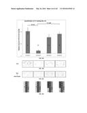 Methods and Treatment for Certain Demyelination and Dysmyelination-Based     Disorders and/or Promoting Remyelination diagram and image