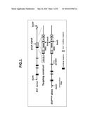 COMPOSITION FOR INDUCING PROLIFERATION OR ACCUMULATION OF REGULATORY T     CELLS diagram and image