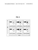 COMPOSITION FOR INDUCING PROLIFERATION OR ACCUMULATION OF REGULATORY T     CELLS diagram and image