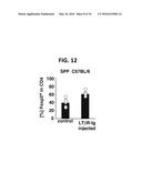 COMPOSITION FOR INDUCING PROLIFERATION OR ACCUMULATION OF REGULATORY T     CELLS diagram and image