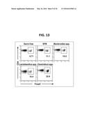 COMPOSITION FOR INDUCING PROLIFERATION OR ACCUMULATION OF REGULATORY T     CELLS diagram and image