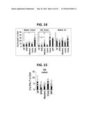 COMPOSITION FOR INDUCING PROLIFERATION OR ACCUMULATION OF REGULATORY T     CELLS diagram and image