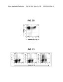 COMPOSITION FOR INDUCING PROLIFERATION OR ACCUMULATION OF REGULATORY T     CELLS diagram and image