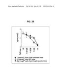 COMPOSITION FOR INDUCING PROLIFERATION OR ACCUMULATION OF REGULATORY T     CELLS diagram and image