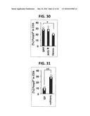 COMPOSITION FOR INDUCING PROLIFERATION OR ACCUMULATION OF REGULATORY T     CELLS diagram and image