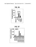 COMPOSITION FOR INDUCING PROLIFERATION OR ACCUMULATION OF REGULATORY T     CELLS diagram and image