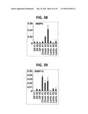 COMPOSITION FOR INDUCING PROLIFERATION OR ACCUMULATION OF REGULATORY T     CELLS diagram and image