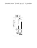 COMPOSITION FOR INDUCING PROLIFERATION OR ACCUMULATION OF REGULATORY T     CELLS diagram and image