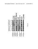 TREATMENT OF AUTISM SPECTRUM DISORDERS WITH CILIARY NEUROTROPHIC FACTOR     PEPTIDE MIMETIC diagram and image